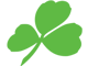 Aer Lingus