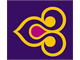 Thai Airways International